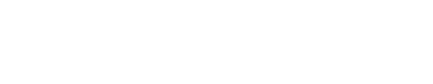 Brookdale University Hospital Medical Center